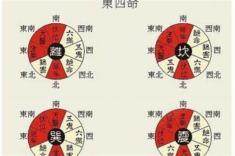 离卦 东四命|易经算命解析离命东四命是什么意思？